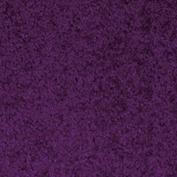 Picture of Schmutzfangmatte EAZYCARE Color lila B90xT150 cm
