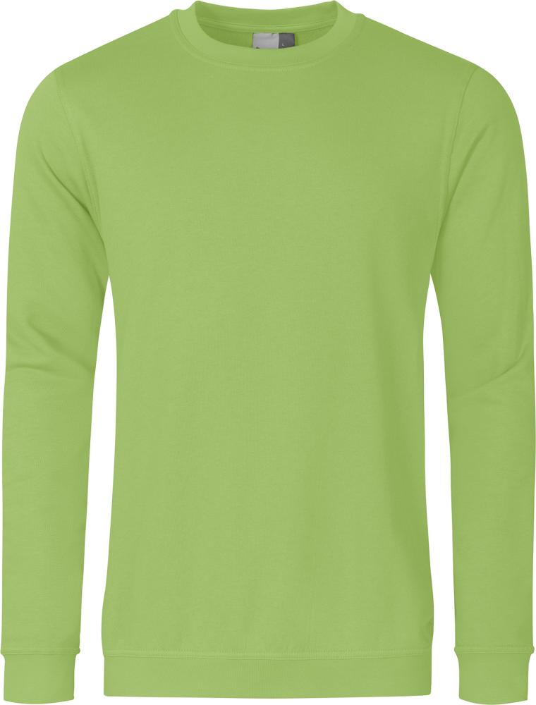 Picture of Sweatshirt, wild lime