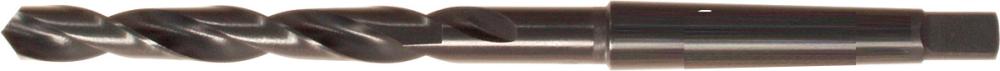 497987-qwz109560-121.jpg
