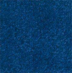 Bild von Eingangsmatte Plush 0.9m x 1.5m, blau