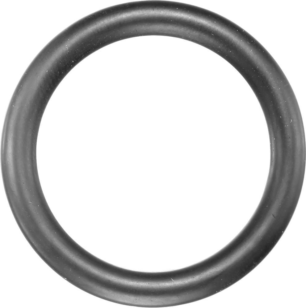 583096-pre116516-20.jpg
