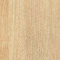 378706-ube100936-1.jpg