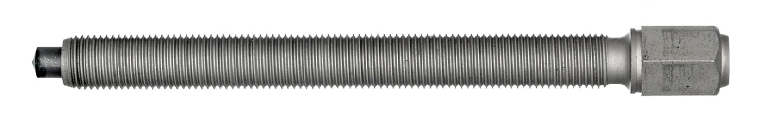 321852-1546821.jpg