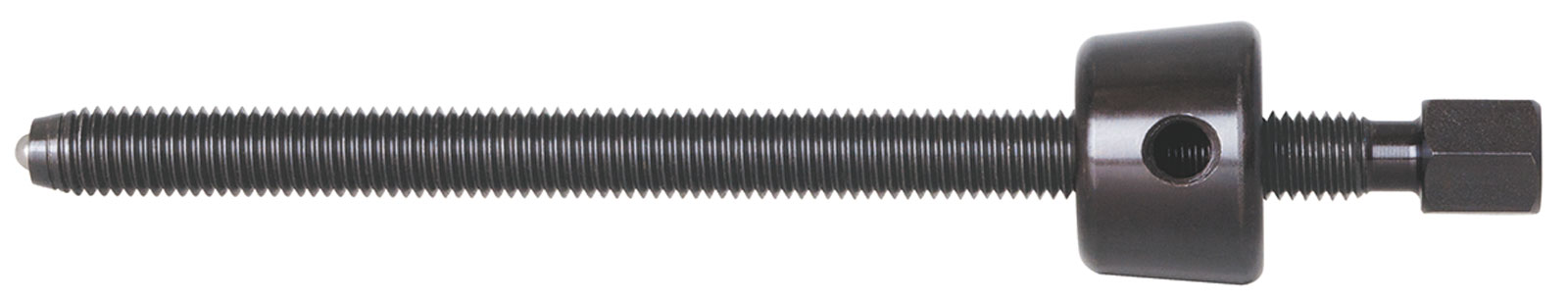 322042-8011270.jpg