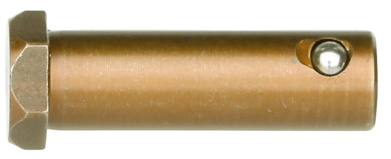323199-2964112.jpg