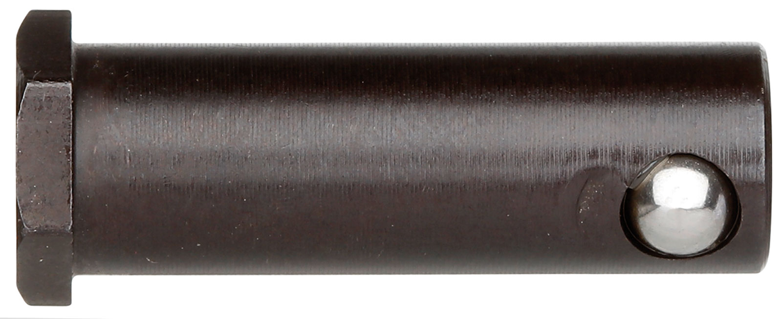 323206-1154540.jpg