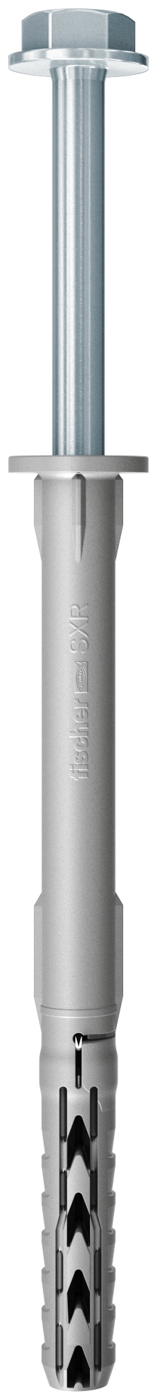 W1_P_G_SXR-FUS-BGR-CGI_F_SALL_AQQ_V1.jpg