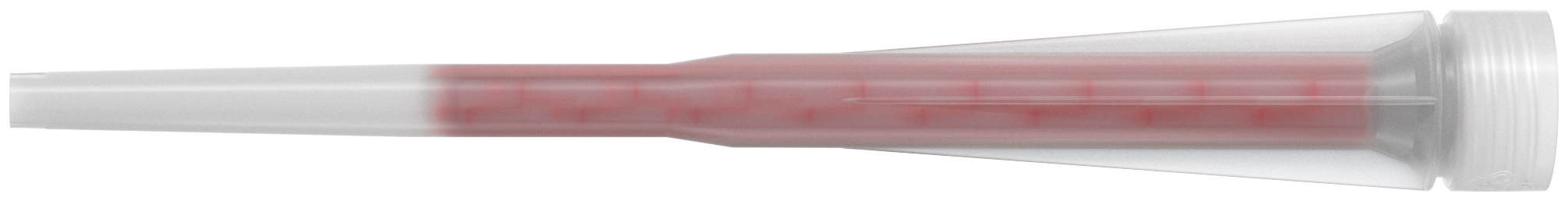 W1_P_G_FIS-MR-PLUS-CGI_F_SALL_AQQ_V1.jpg