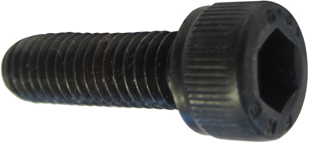 qwz115307.jpg