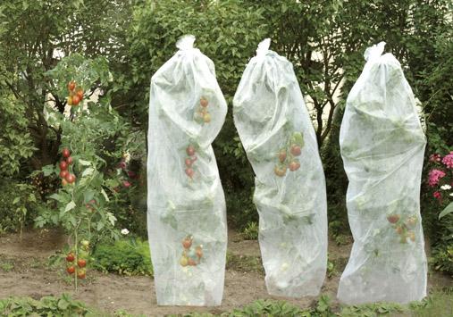 lag177984.jpg