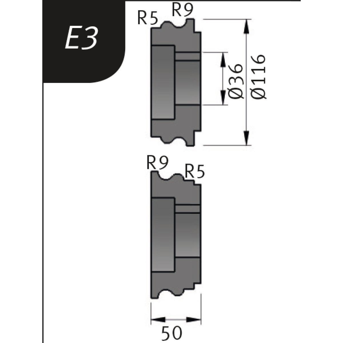 3880723_H.jpg